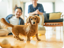 ペット可・ペット相談OK 物件特集